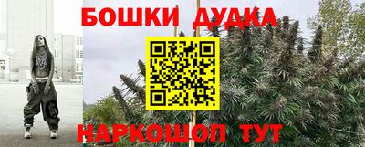 индика Кунгур