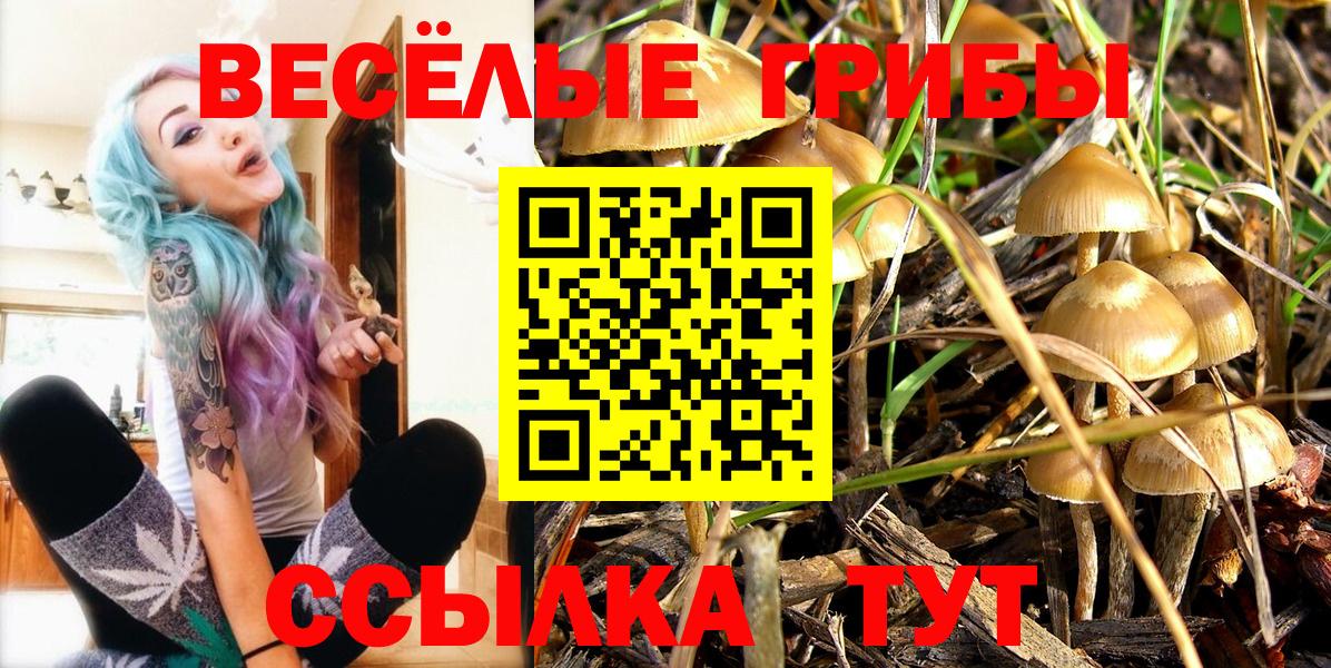 Галлюциногенные грибы Psilocybine cubensis  цена наркотик  Жигулёвск  Вход с VPN 